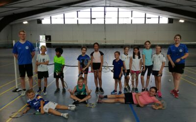Badminton Fun Days